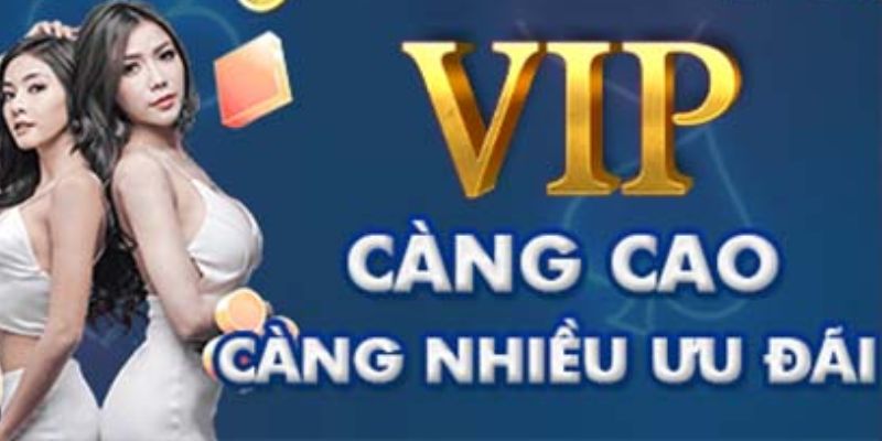Ưu đãi VIP Leo88 Các cấp độ trong chương trình VIP Leo88