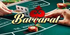 Giới thiệu tổng quan về Baccarat Leo88