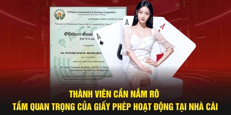 Giấy phép hoạt động Leo88 Lợi ích của giấy phép hoạt động Leo88 đối với người chơi
