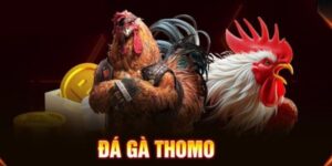 Tìm hiểu nguồn gốc của đá gà Thomo Campuchia