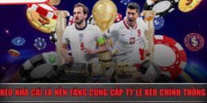Vai trò của Tỷ lệ kèo nhà cái Leo88 trong cá cược
